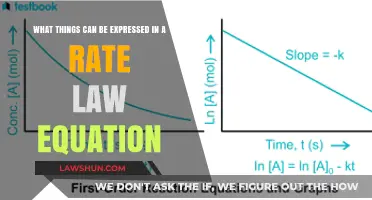 Key Elements of a Rate Law Equation