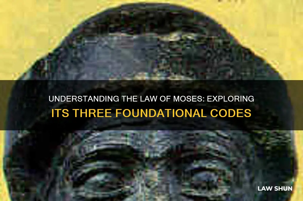 what three codes comprise the law of moses