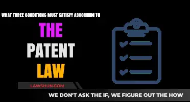 Patent Law Essentials: Three Key Conditions for Validity