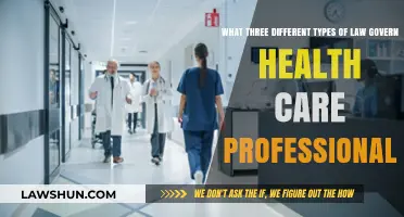 Healthcare Law: Three Key Types Governing Professionals