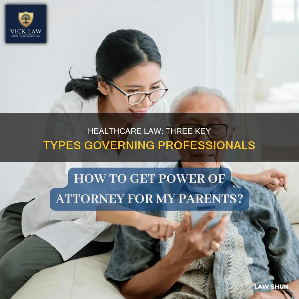 what three different types of law govern health care professionals