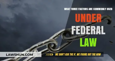 Key Factors Under Federal Law