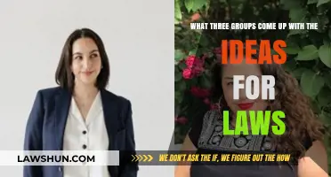 Who Shapes Our Laws? Exploring the Key Groups Behind Legal Ideas
