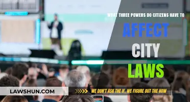 Empowering Citizens: Three Key Ways to Influence City Legislation