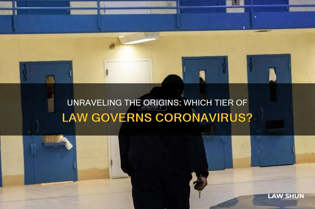 what tier law did the corona coronavirus come from