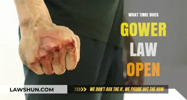 Gower Law Opening Hours: When Does the Firm Start Business?