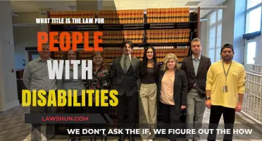 Understanding Legal Protections: The Law for People with Disabilities