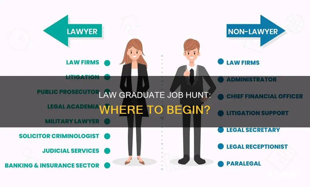 what to apply for as a recent law graduate