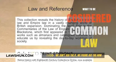 Understanding Common Law: What's Considered?
