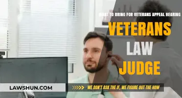 Veterans Appeal Hearing: Essential Items to Bring Before the Judge