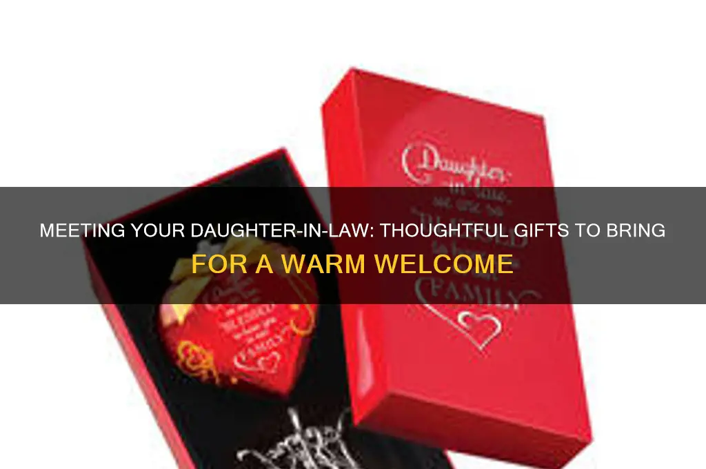 what to bring to meeting daughter in laws