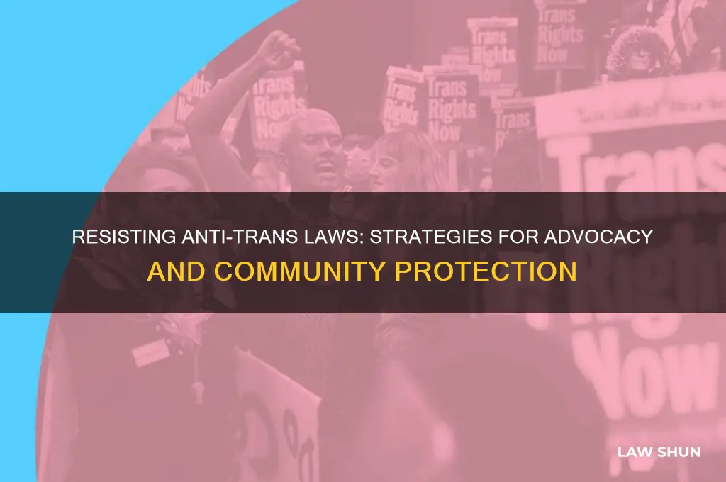 what to do about potential anti transgender laws