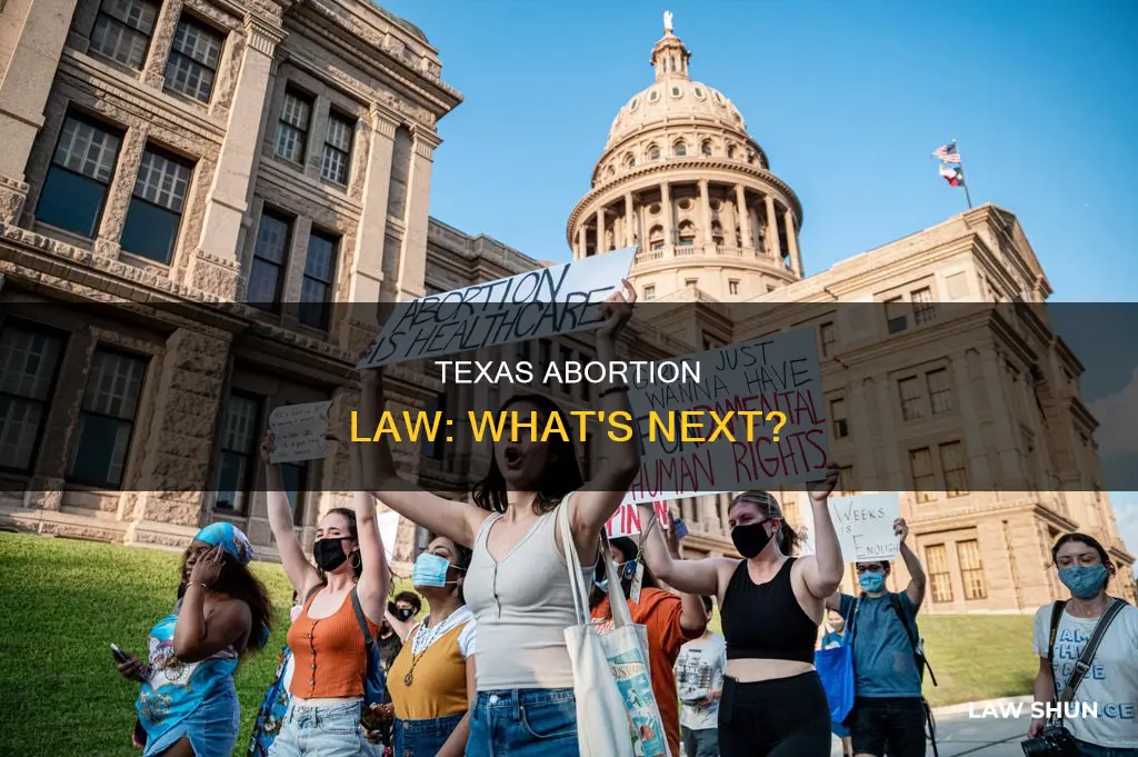 what to do about texas abortion law