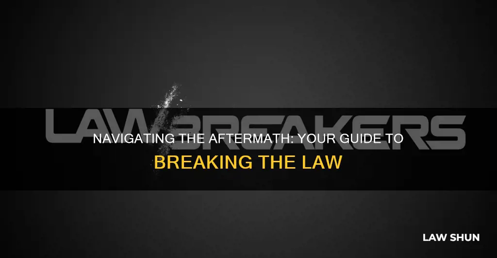 what to do after breaking the law