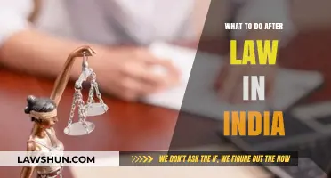 Exploring Post-Law School Options in India