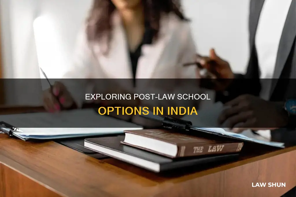 what to do after law in india