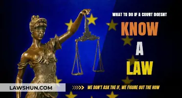 When Courts Are Unaware: Navigating Legal Uncertainty and Next Steps