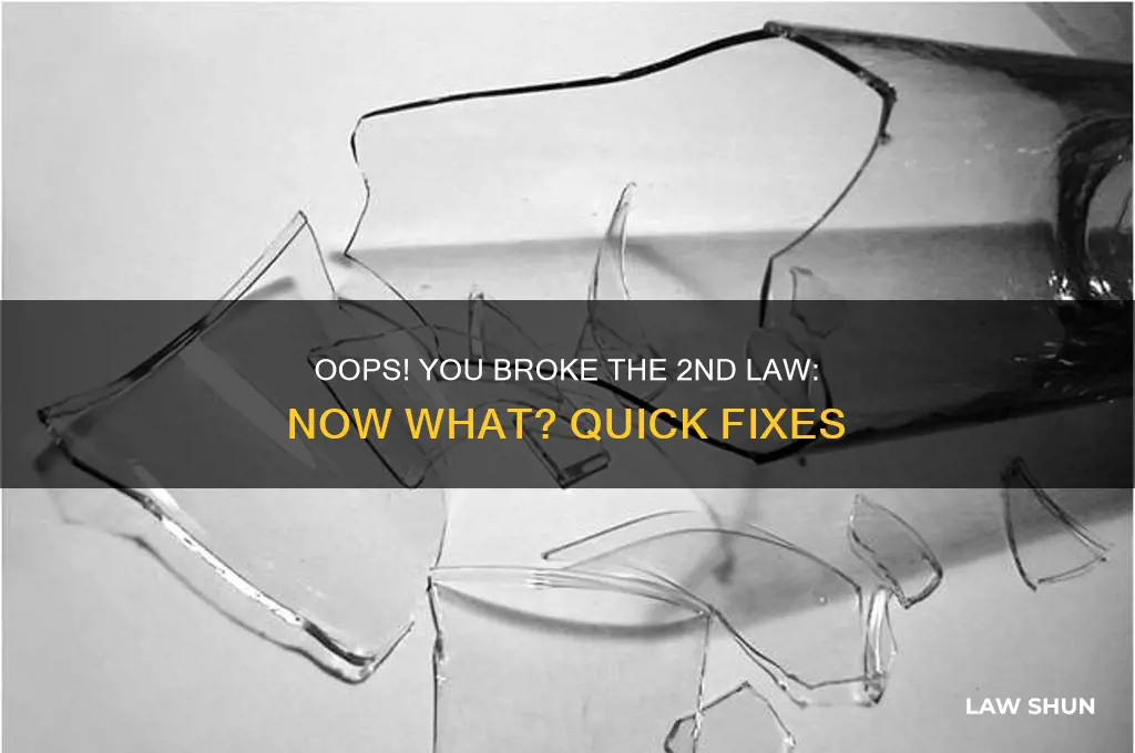 what to do if accidentally broke 2nd law of thermodynamics