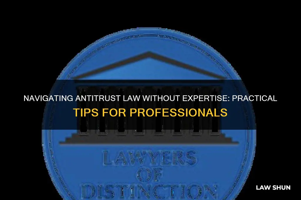 what to do if antitrust law is not my specialty