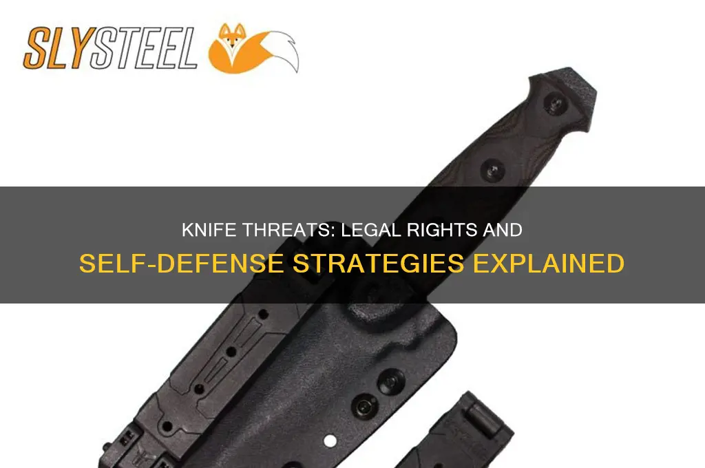 what to do if someone has a knife the law