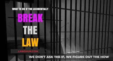 Navigating the Consequences: What to Do When You Break the Law