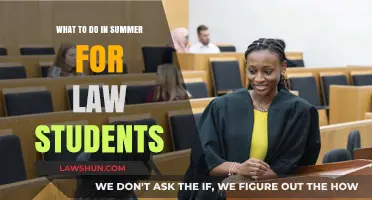 Summer Strategies: Productive Activities for Aspiring Law Students