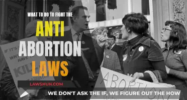 Strategies to Challenge Anti-Abortion Laws and Protect Reproductive Rights