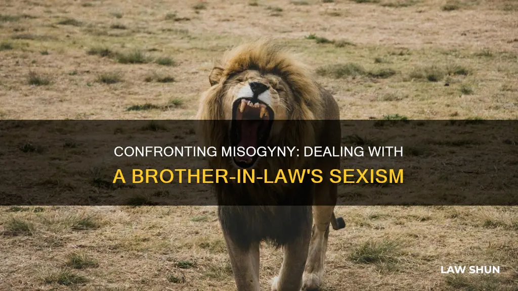 what to do when a brother in-law is a misogynist