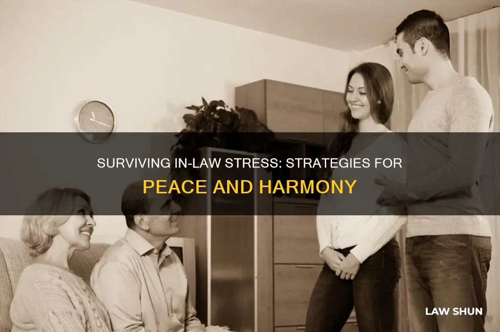 what to do when your in-laws drive you crazy