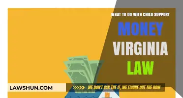 Virginia Child Support: Smart Ways to Use Payments Legally