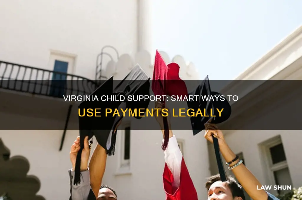 what to do with child support money virginia law