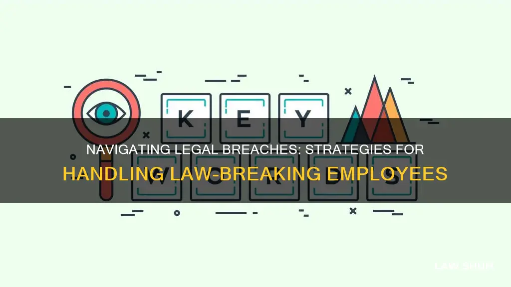 what to do with employee who breaks the law