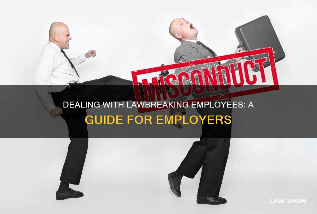 what to do with employee who breaks the law