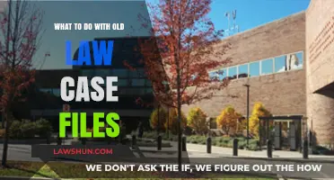 Revisiting Old Law Case Files: What's Next?
