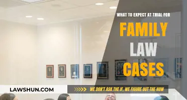 Family Law Trial: What You Need to Know