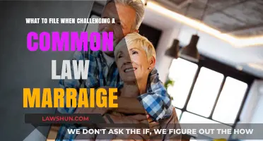 Challenging Common Law Marriage: What to File?