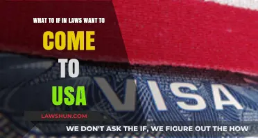 Navigating the Process: Bringing Your In-Laws to the USA