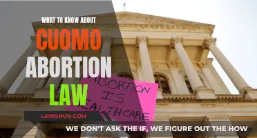 Cuomo's Abortion Law: What You Need to Know