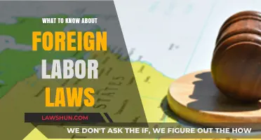 Navigating Global Employment: Essential Insights on Foreign Labor Laws