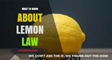 Understanding Lemon Law: Essential Insights for Defective Vehicle Owners