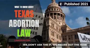 Texas Abortion Law: What You Need to Know