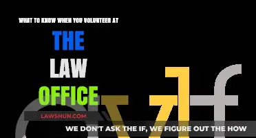 Volunteering at a Law Office: Essential Tips and Insights
