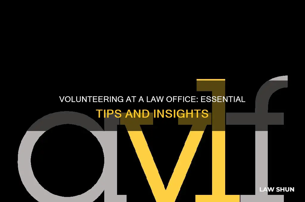 what to know when you volunteer at the law office