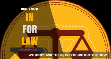 Choosing the Right Undergraduate Major for a Law Career