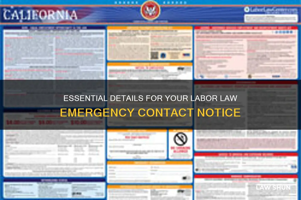 what to put on labor law emergency contact notice