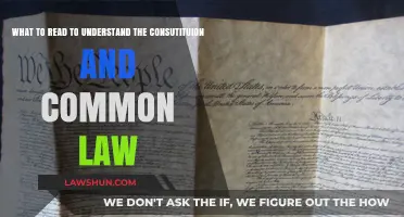 Understanding the Constitution and Common Law: A Reading Guide