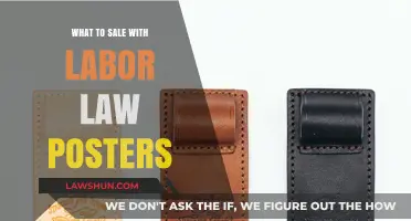 Boost Sales: Complementary Products to Sell with Labor Law Posters