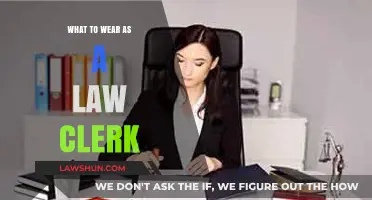 Professional Law Clerk Attire: Dressing for Success in the Legal Field