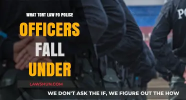 Understanding Police Liability: Tort Law Categories for Law Enforcement Officers
