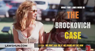 Tort Laws in the Brockovich Case: Understanding the Legal Battle